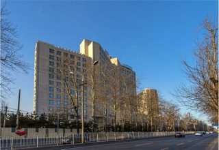 四川零误差钢筋调直机哪家好