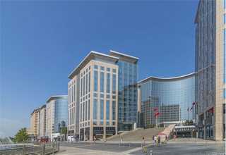 泰州办公室灭白蚁公司