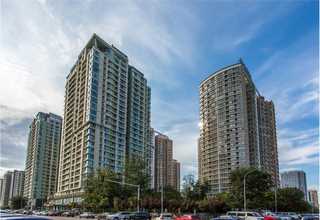 人体器官芯片发展前景