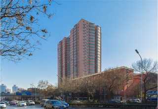 茂名双牙边无弹力织带