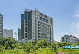 兔宝宝起名交易价格